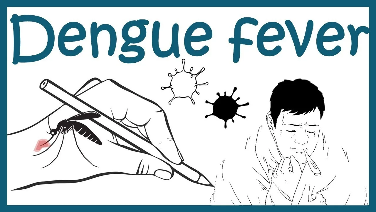 क्या डायबिटीज के चलते बढ़ सकता है डेंगू का खतरा जाने ब्लड शुगर और डेंगू का क्या है नाता