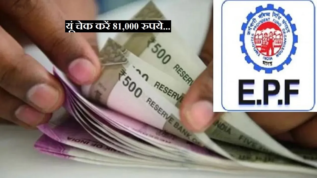 EPFO: पीएफ कर्मचारियों की खुशी का नहीं ठिकाना, सरकार ने भेजे 81,000 रुपये, यूं करें चेक