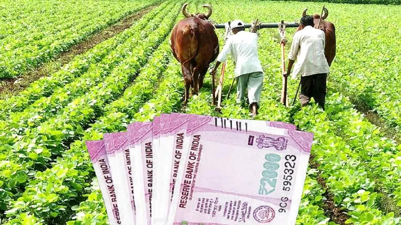 PMKSN: किसान होंगे मालामाल, अब सरकार हर महीना देगी इतने हजार रुपये, जानिए डिटेल