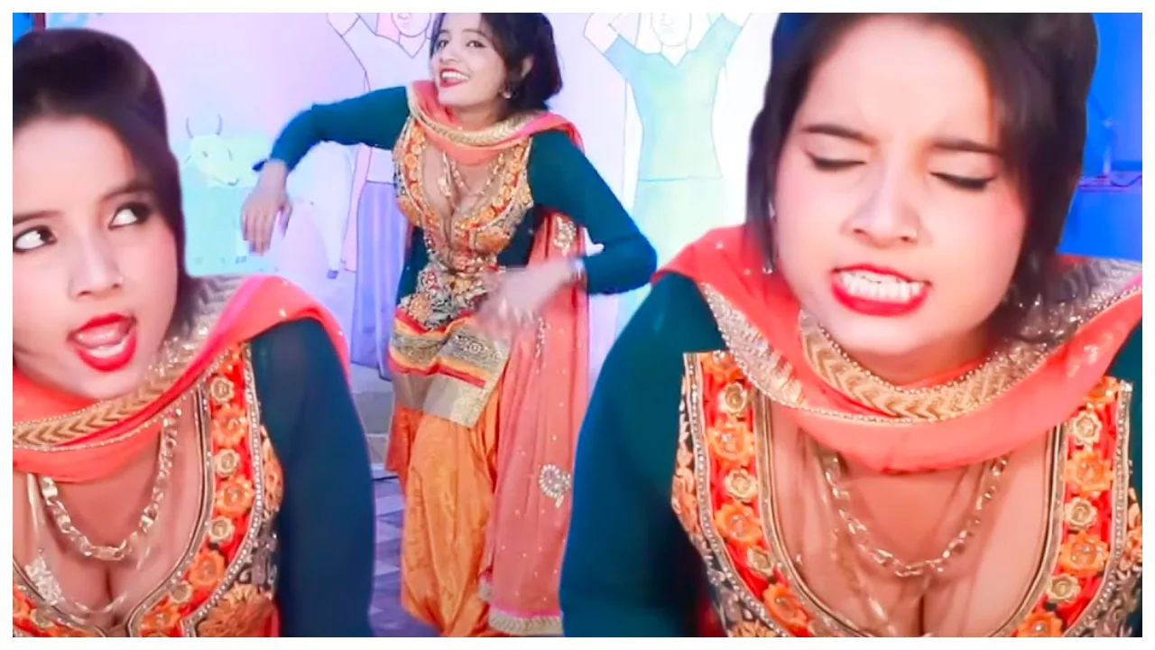 Haryanvi Dance: सुनीता बेबी के साथ स्टेज पर हुआ कुछ ऐसा, वीडियो देख इंटरनेट पर छिड़ी जंग