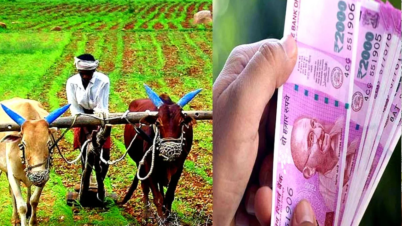 Subsidy on Seeds in Bihar