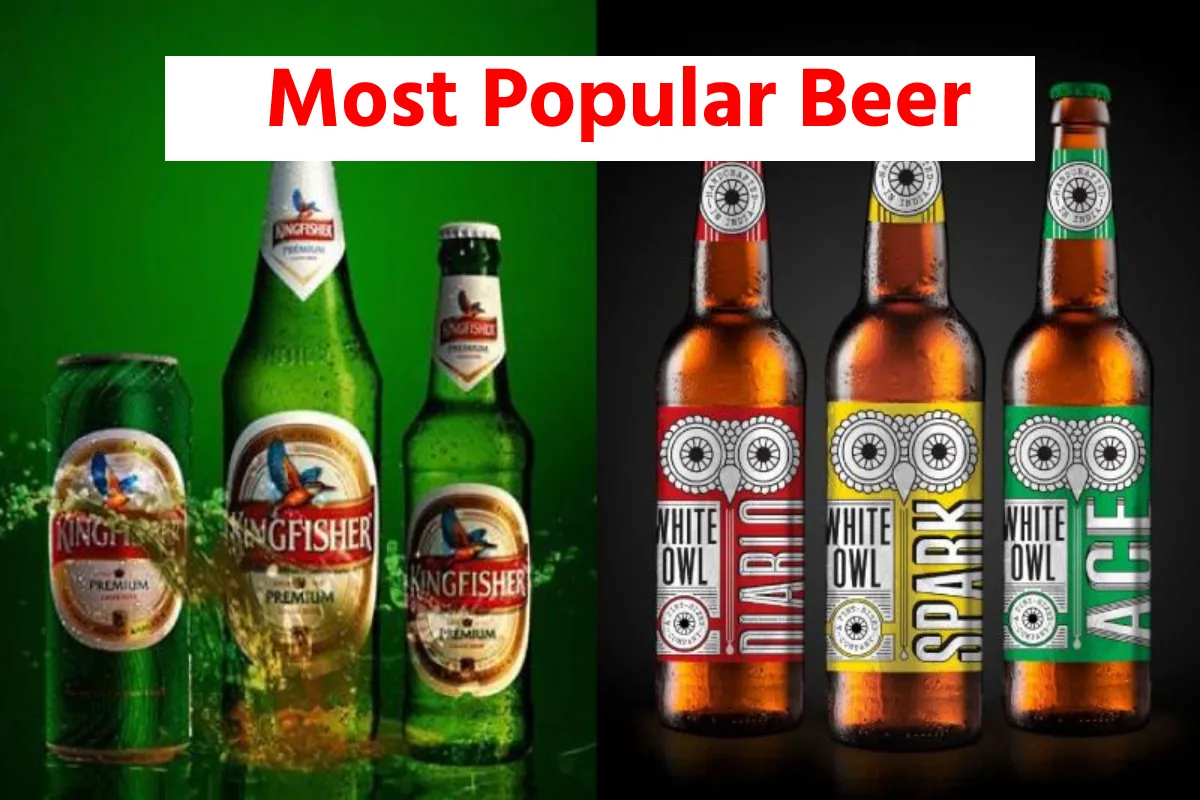 Most Popular Beer