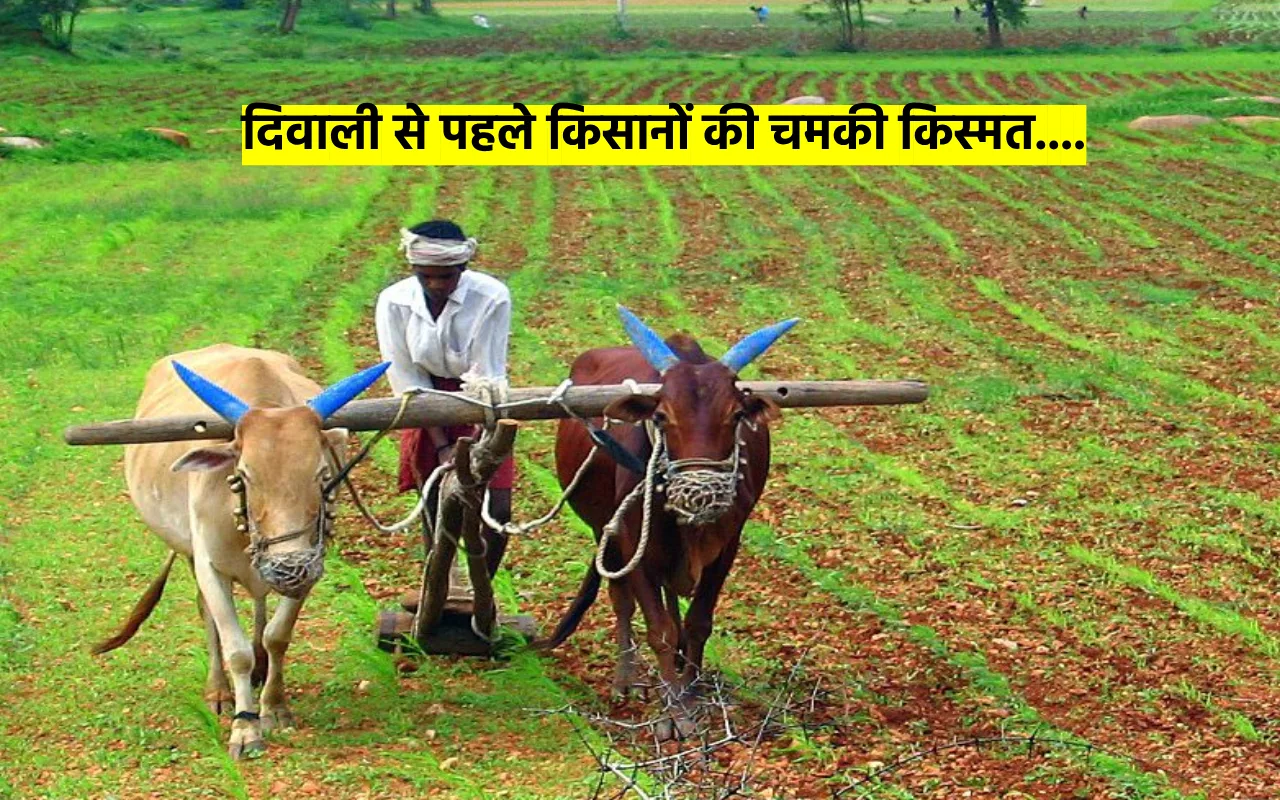 Haryana Farmer News