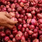 Onion Price Update
