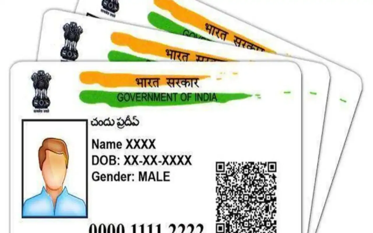 Aadhaar Card Holder