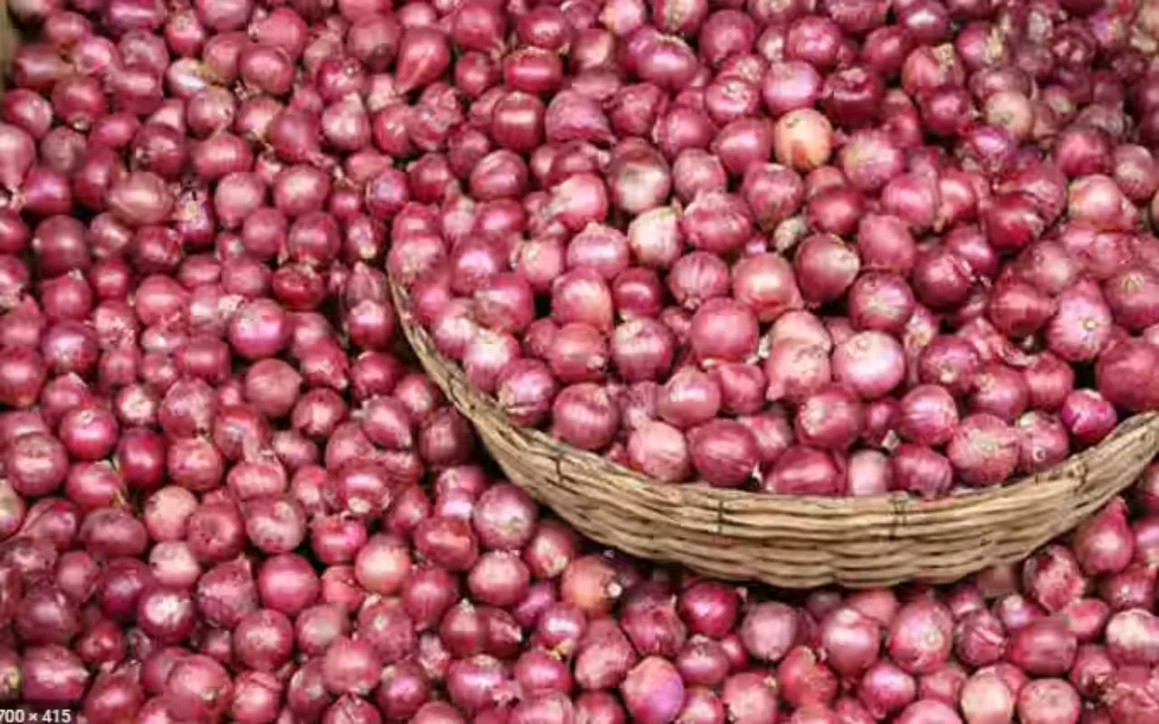 Onion Export News