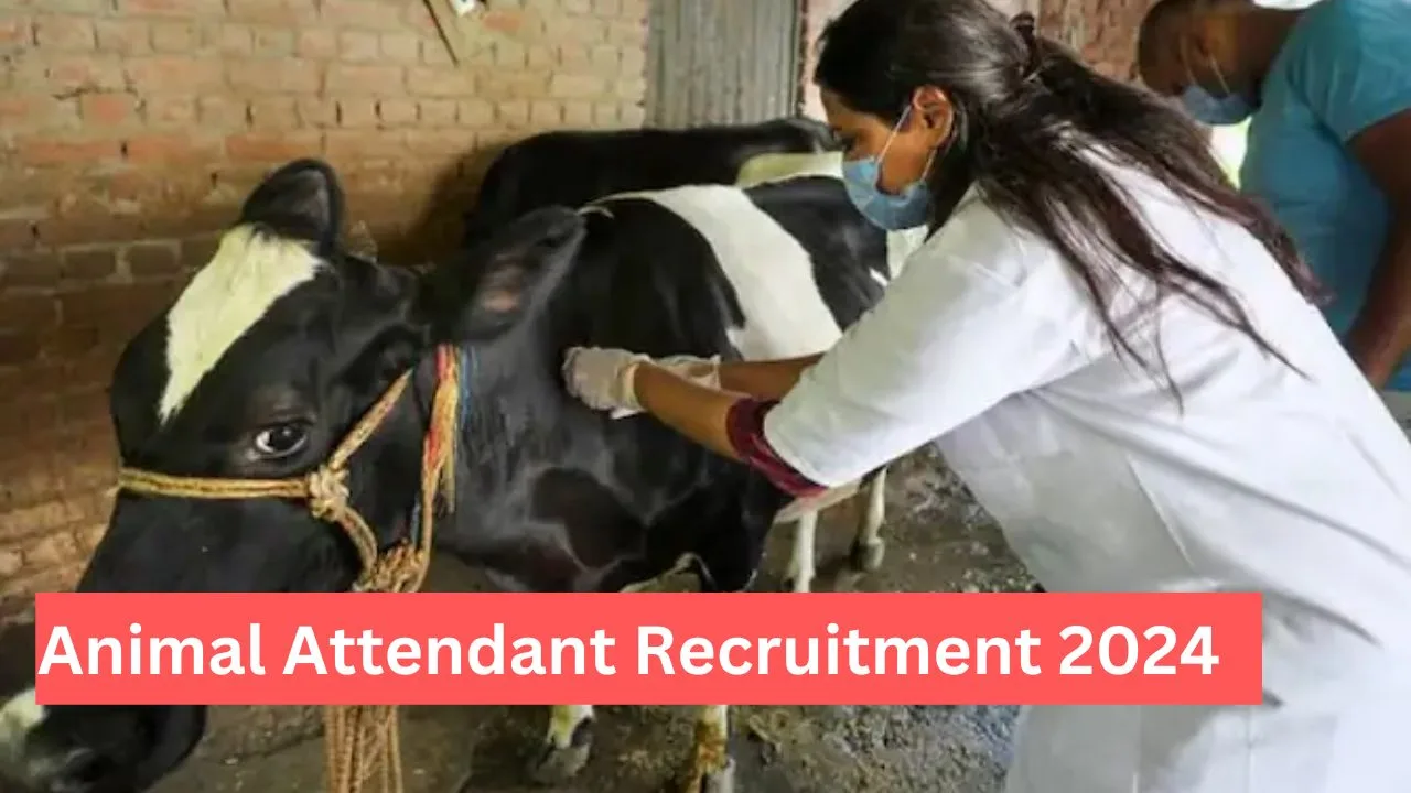 Animal Attendant Recruitment 2024