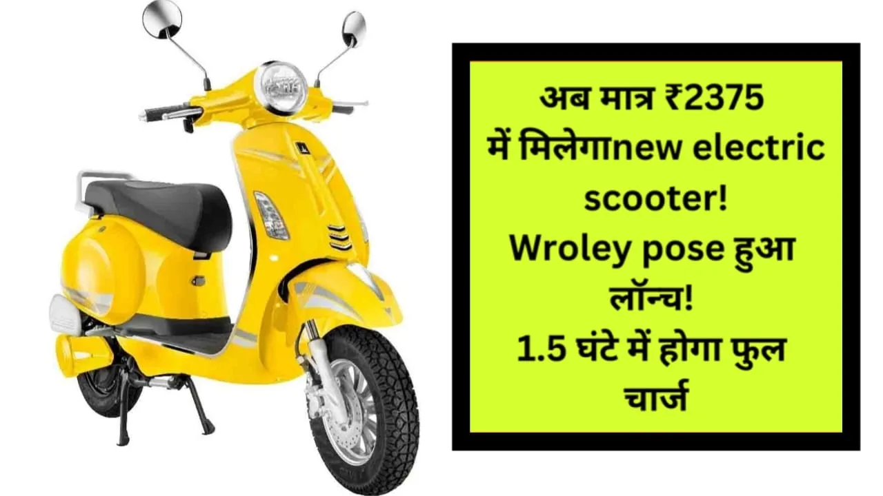 Wroley Posh Electric Scooter