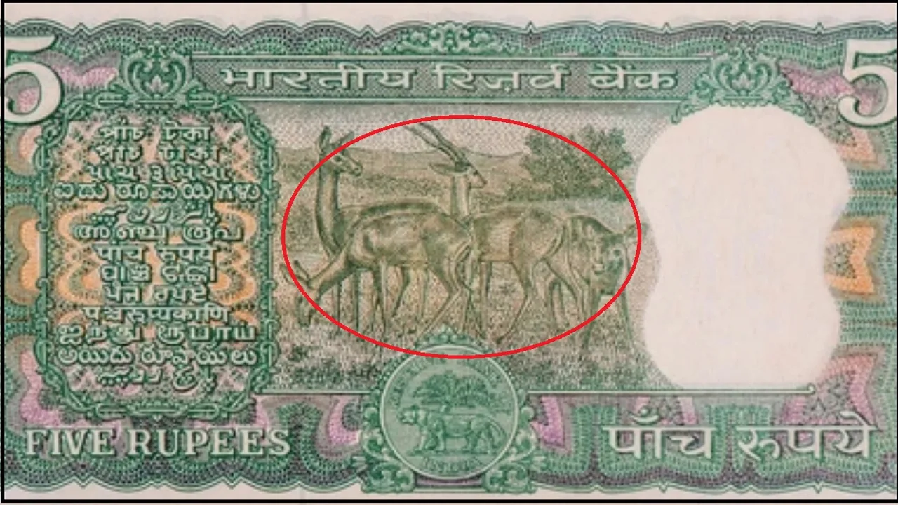 earning rare 5 rupee note