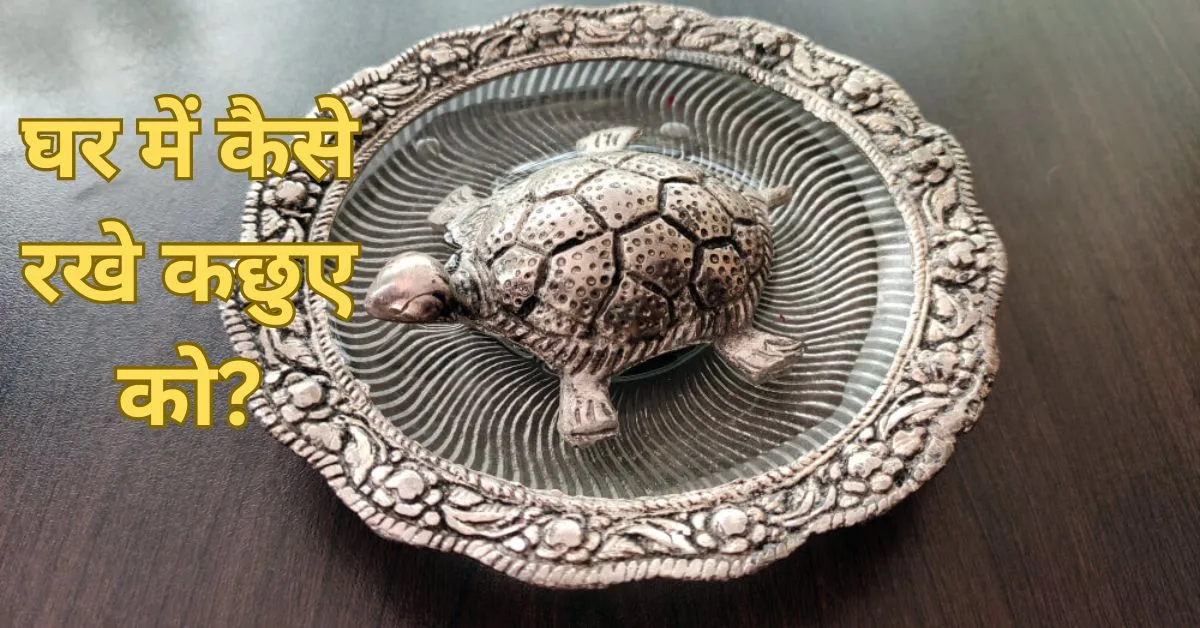 Buy Ganesh Kachua (Turtle) Ring Online - Buy Spiritual Products