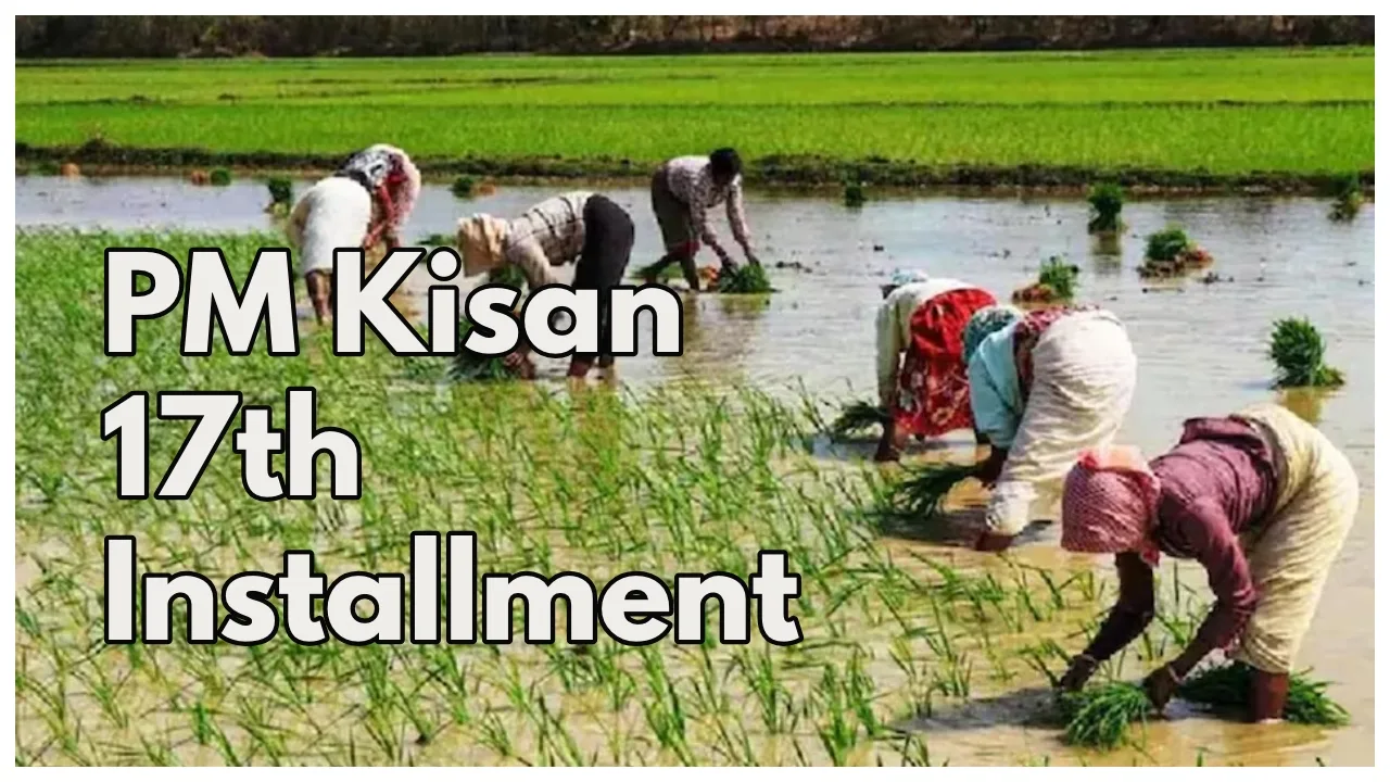 PM kisan: PM किसान की 17वीं किस्त को लेकर बड़ा अपडेट, जाने कब आएगी खाते में