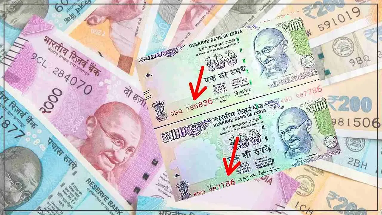 Know the earning of 786 Lucky Note