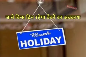 Bank Holidays 2024: समय