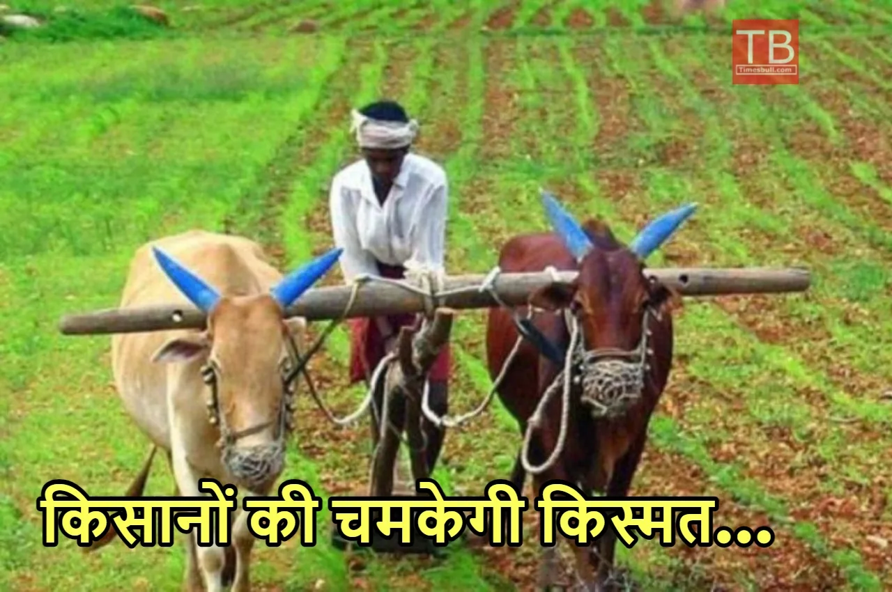 Budget 2024 News