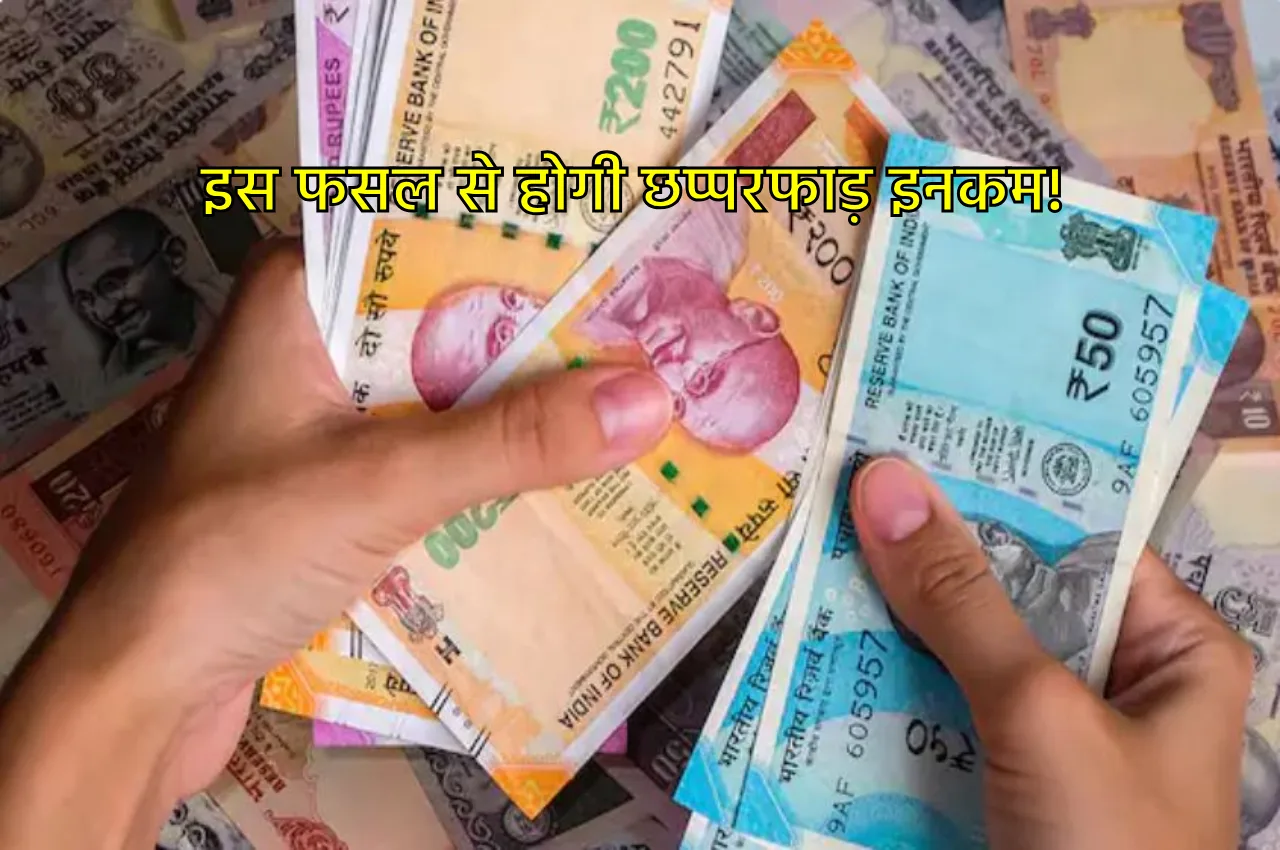 आज ही शुरु करें इस...