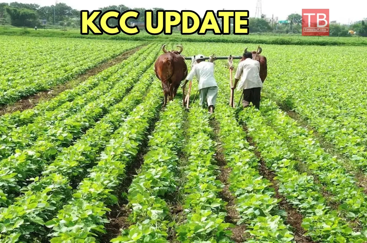 Kcc News