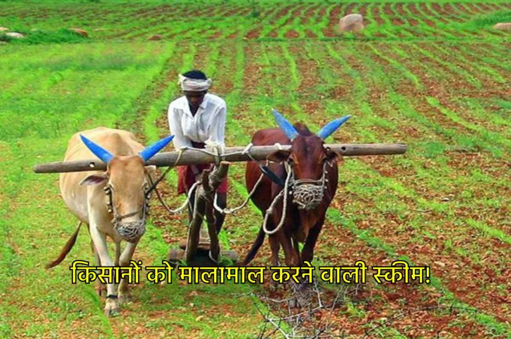 KCC Scheme: सरकार की धांसू स्कीम, किसानों को कम ब्याज दर पर मिलेगा 3 लाख का लोन, जानें डिटेल