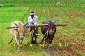 KCC Scheme: सरकार की धांसू स्कीम, किसानों को कम ब्याज दर पर मिलेगा 3 लाख का लोन, जानें डिटेल