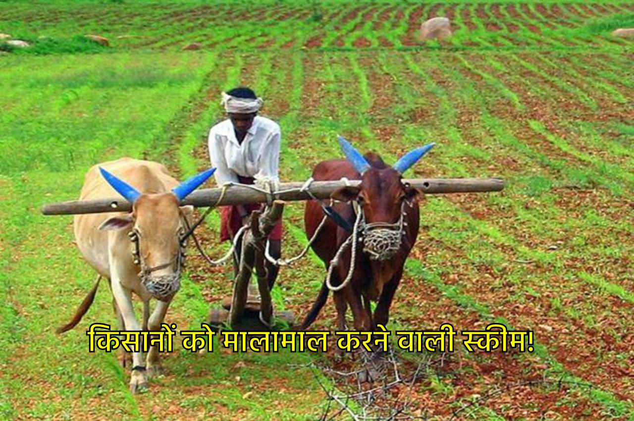 KCC Scheme: सरकार की धांसू...