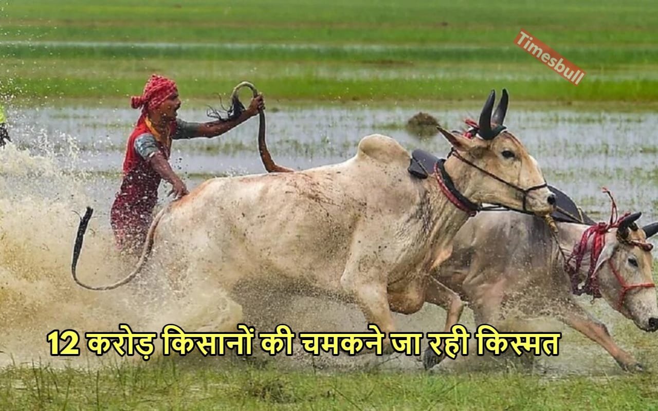 PMKSNY UPDATE: बजट किसानों के...