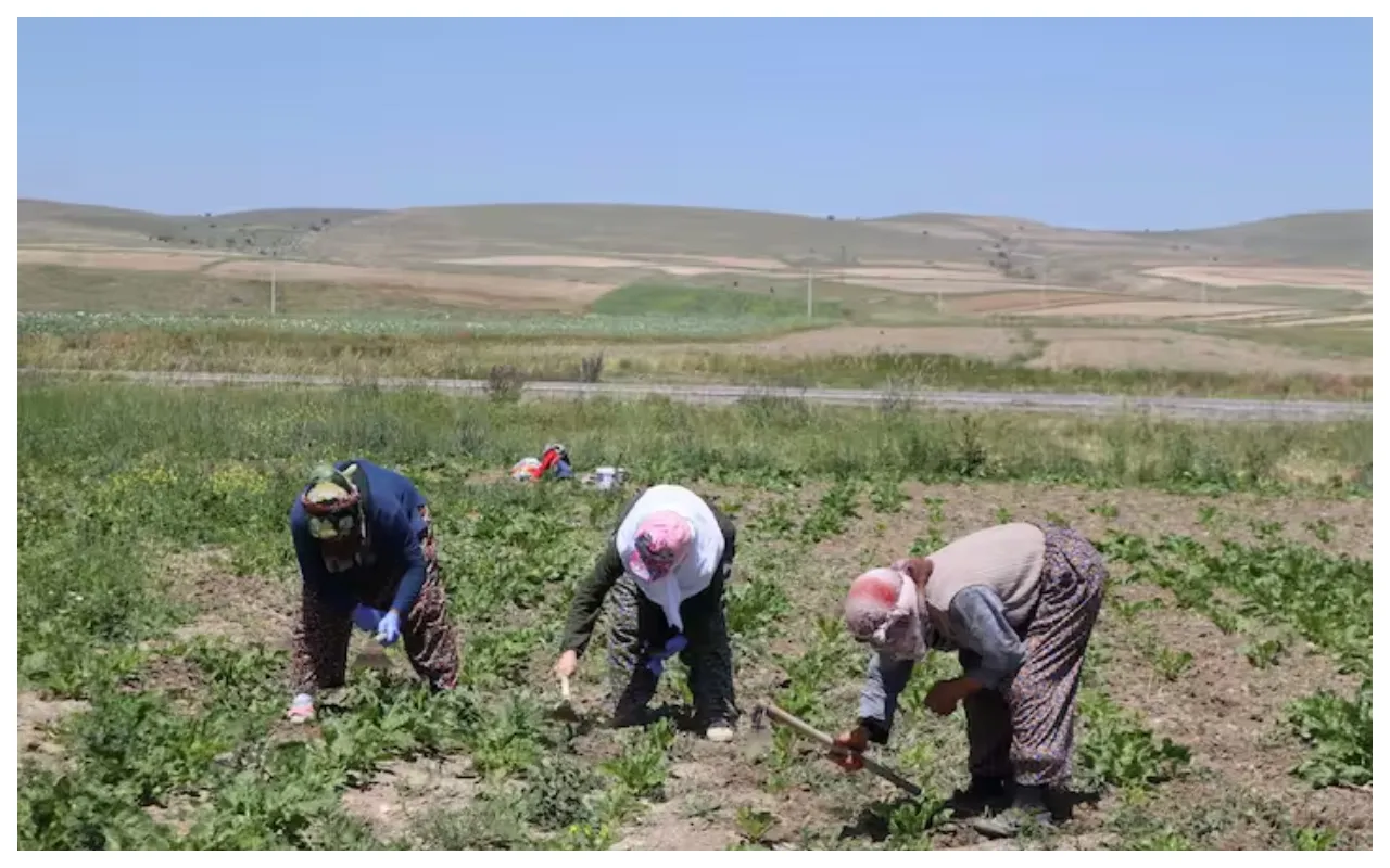Farmers Scheme