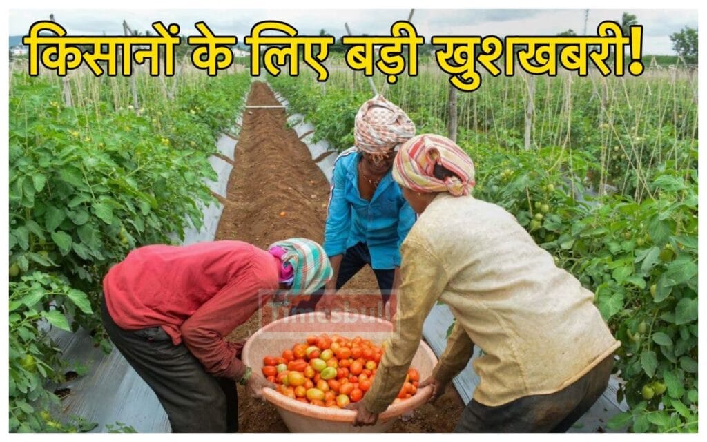 Budget 2024 Update: बजट में किसानों के लिए होगा बड़ा ऐलान? क्या खुल जाएगी 10 करोड़ फार्मर की किस्मत!