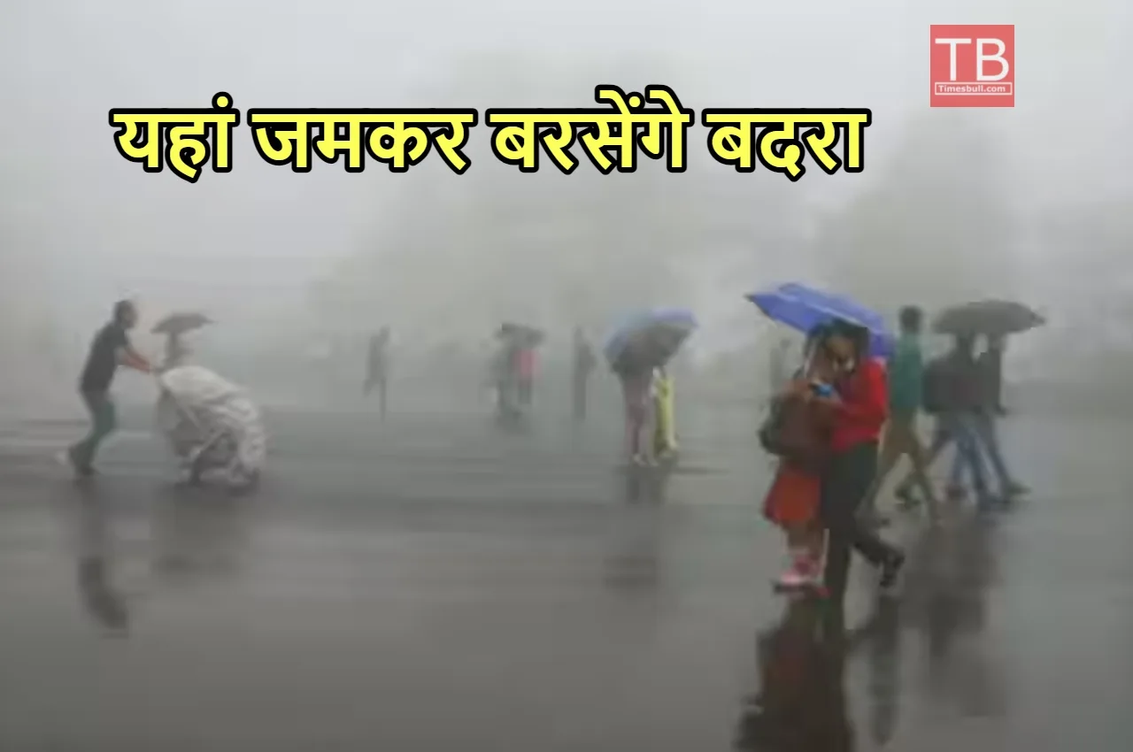 Imd News Update