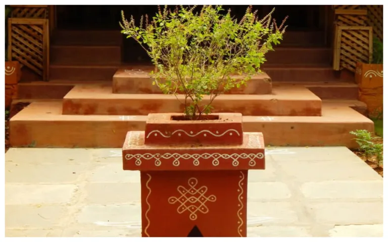 Lucky Plants: आज ही लगाएं ये 3 पौधे! जो बना देंगे आपको मालामाल, जानें जल्दी