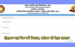 Rajasthan BSTC Result Release: राजस्थान बीएसटीसी रिजल्ट जारी, फटाफट यहां करें चेक