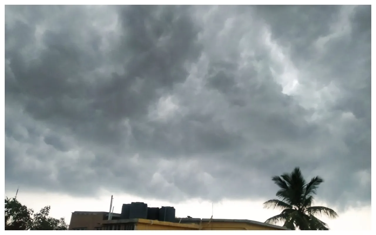 Weather