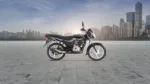 Bajaj Platina 100 (2)