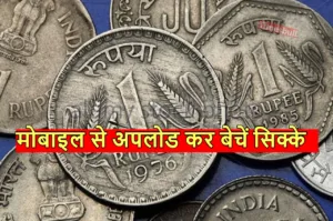 जेब में रखा गेंहू