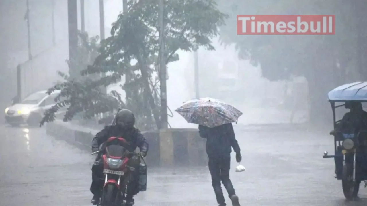 Imd News Update