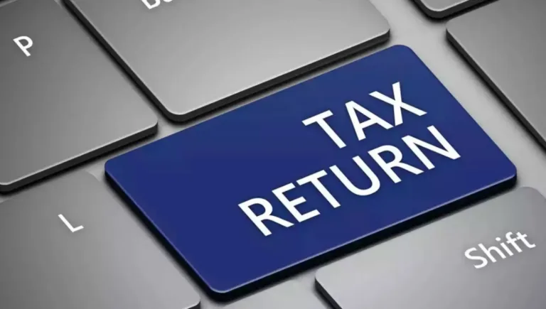 Income Tax Return Filing: Portal Faces Crashes with 12 Days Left, Know What You Should Do