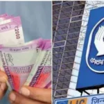 LIC New Term Insurance