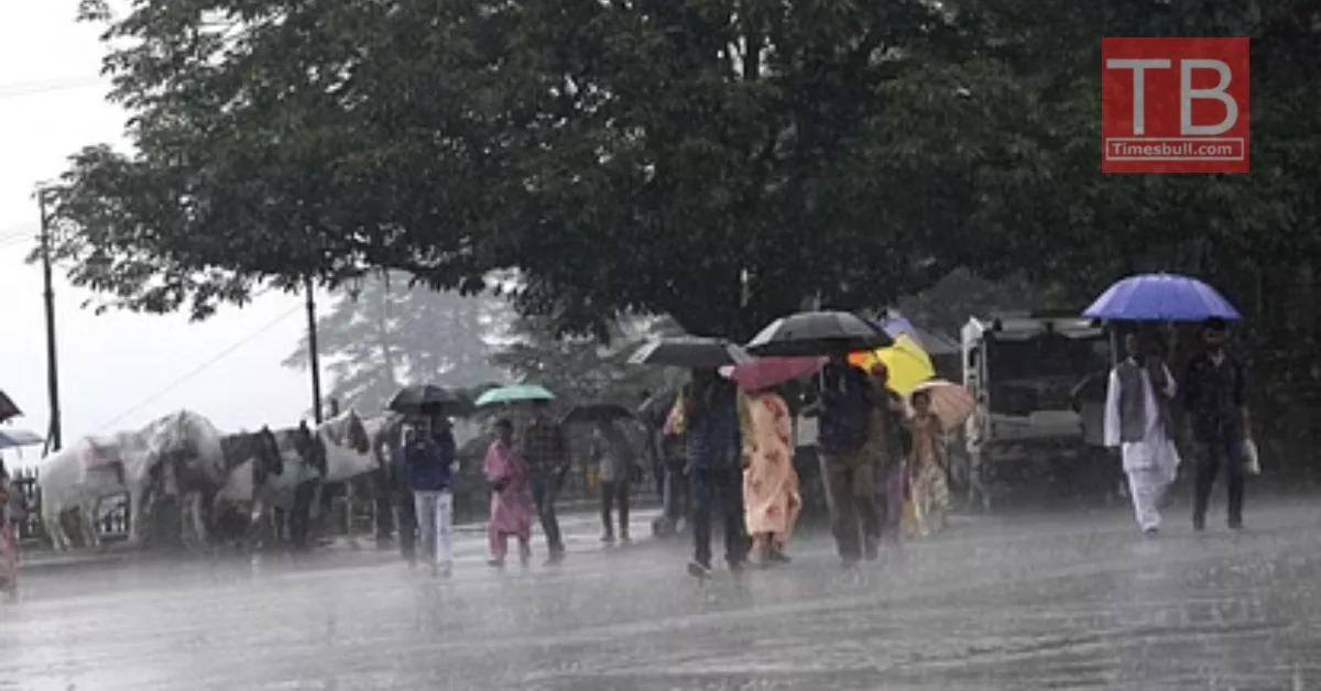 Monsoon News