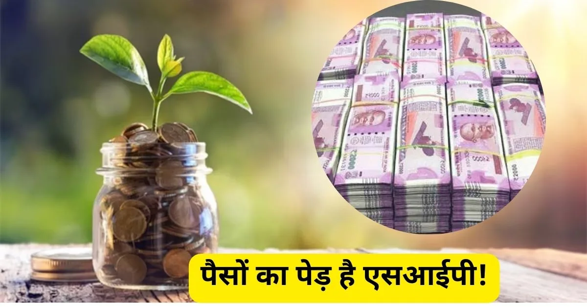 पैसों का पेड़ है एसआईपी!...