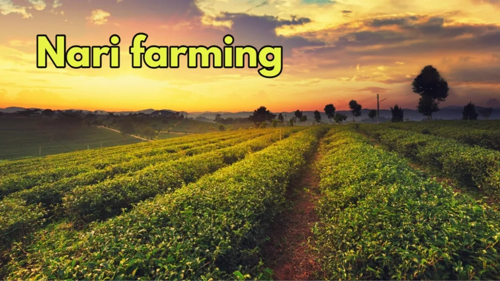 Business Idea: Farmers Switch to Organic Farming, Earn Bumper Profits with Nari Crop