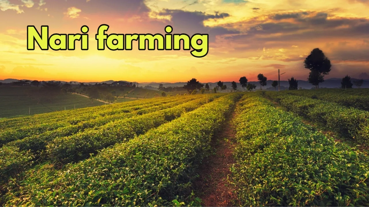 Business Idea: Farmers Switch