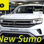 New Sumo