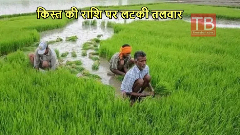 PM KISAN YOJANA