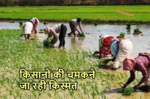किसानों की हुई बल्ले-बल्ले,