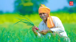 Lakhs of farmers happy, Now the government sends up to 300 crores to everyone’s account