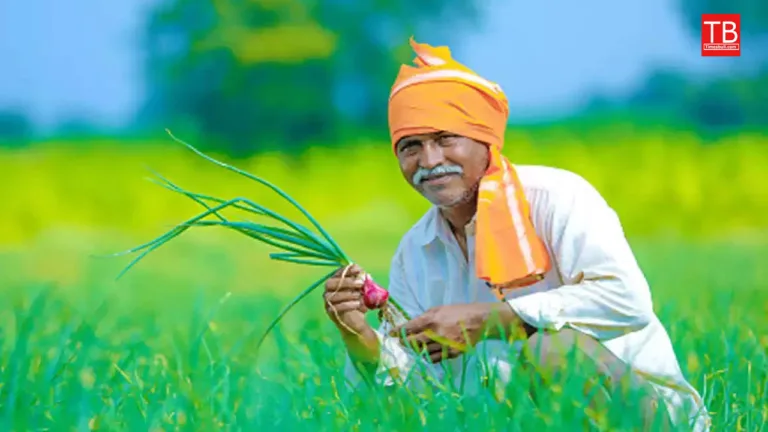 Lakhs of farmers happy, Now the government sends up to 300 crores to everyone’s account