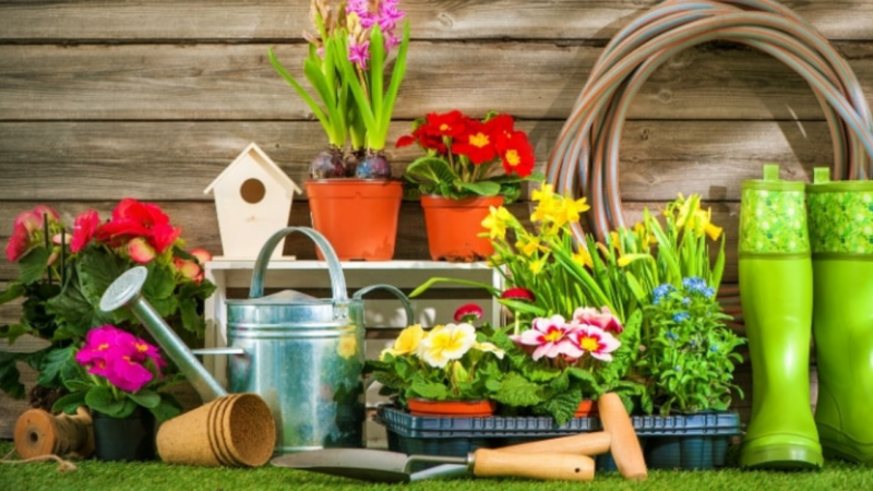 Start A Garden