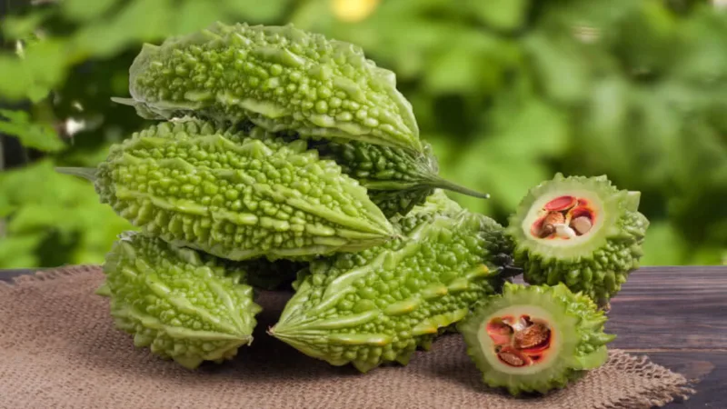 Bitter Gourd