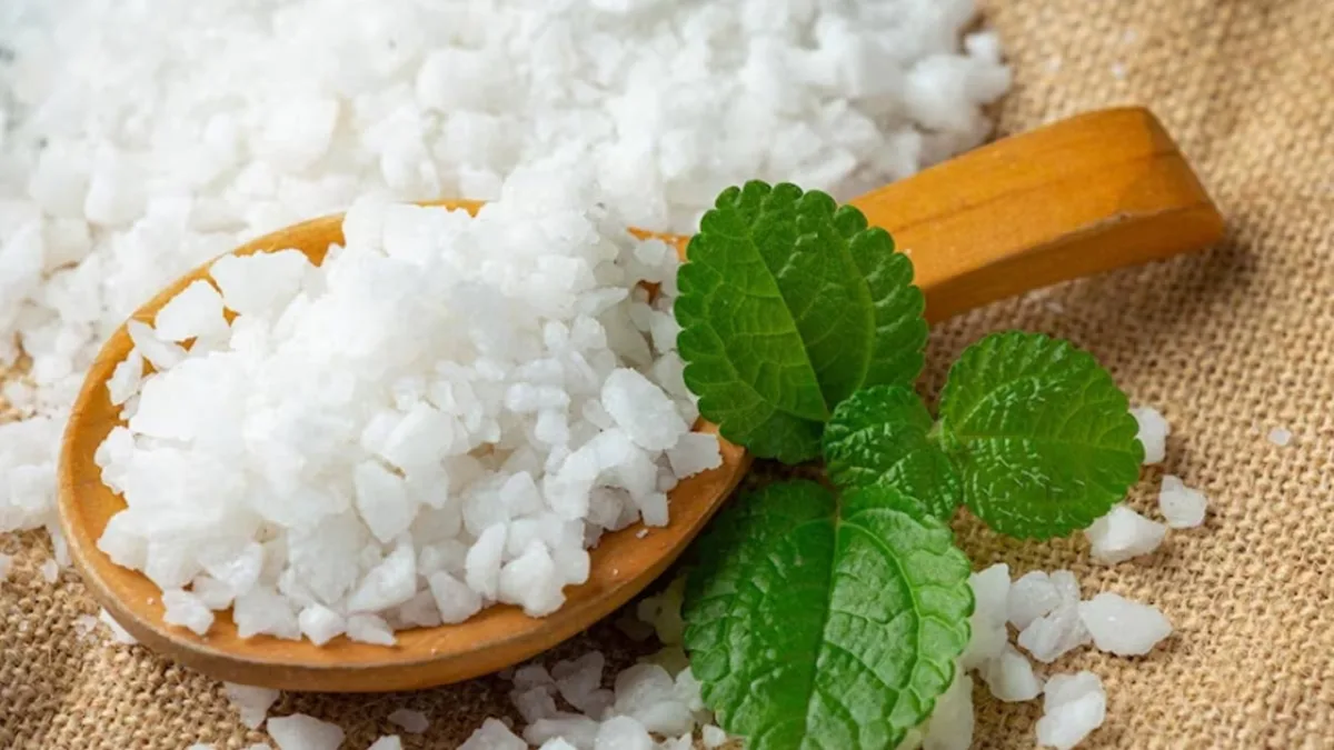 Camphor Benefits