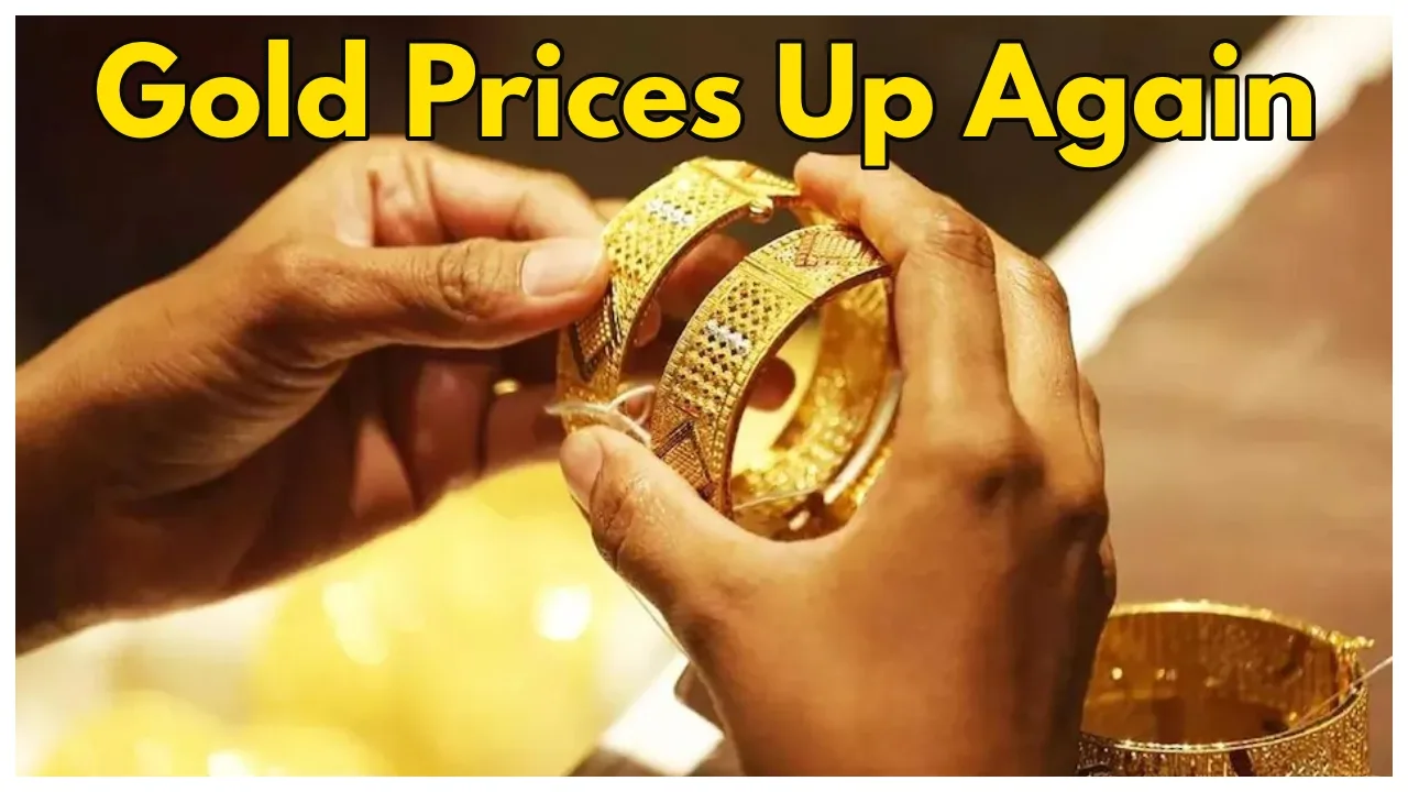 Gold Price Hike Today: Check...