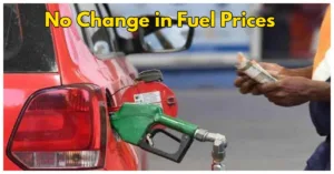 Petrol and Diesel Prices