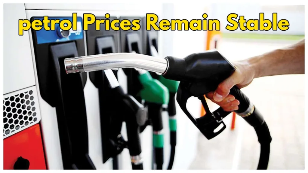 Petrol Diesel Price Today: No Change in Fuel Prices Across India, Check City – Wise Rate